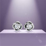 Silver Eternal Radiance Studs